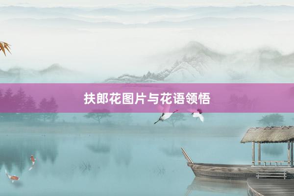 扶郎花图片与花语领悟