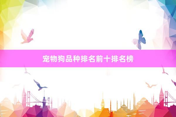 宠物狗品种排名前十排名榜