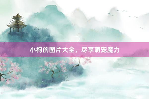 小狗的图片大全，尽享萌宠魔力